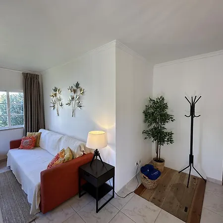 Apartment Citymar By Fhr T2 Com Piscina *